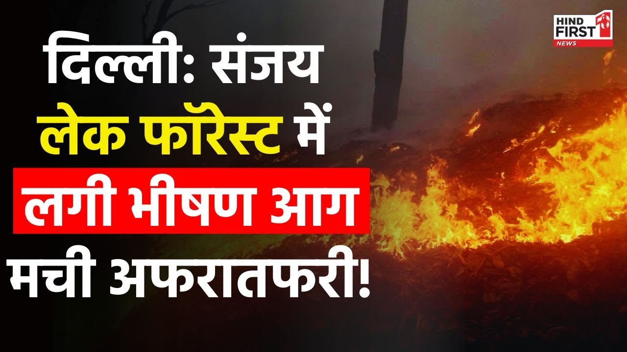 Delhi Fire News : संजय लेक फॉरेस्ट में लगी भीषण आग,मची अफरातफरी!