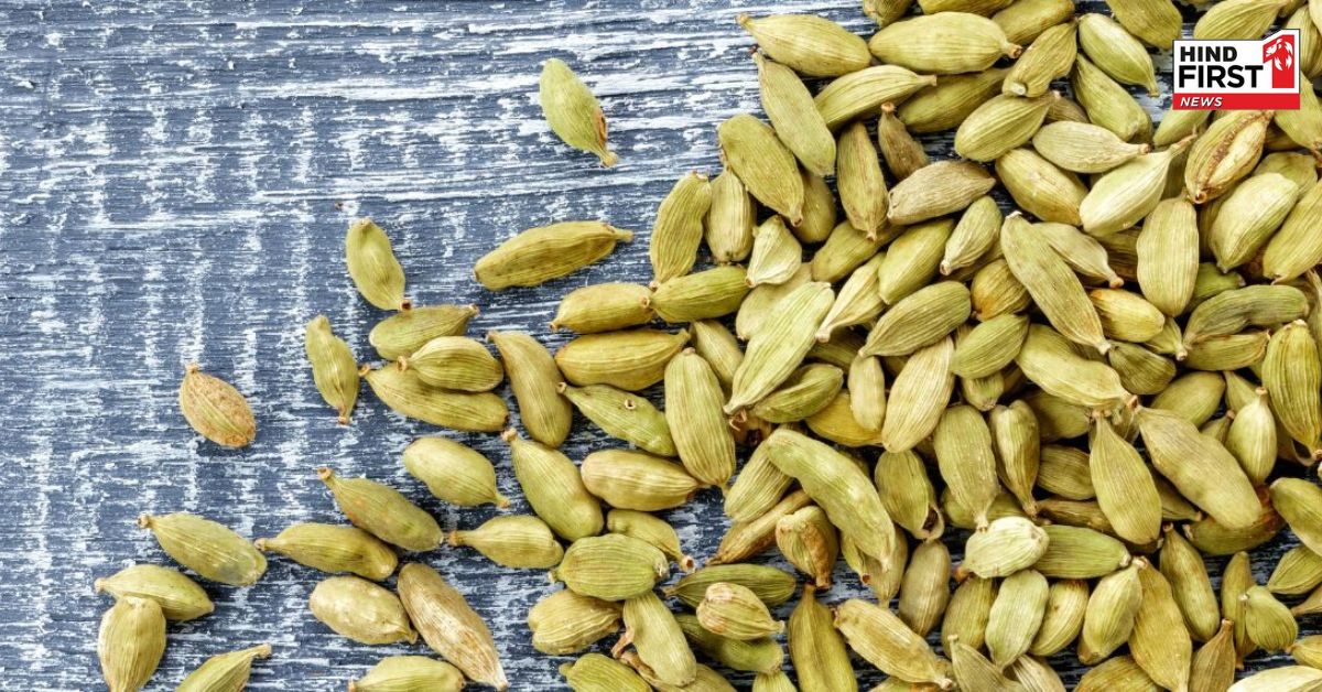 Benefits of Cardomom: इलायची के सेवन से दूर होंगी ये परेशानियां, इस तरह करे इस्तेमाल Benefits of Cardomom: इलायची के सेवन से दूर होंगी ये परेशानियां, इस तरह करे इस्तेमाल