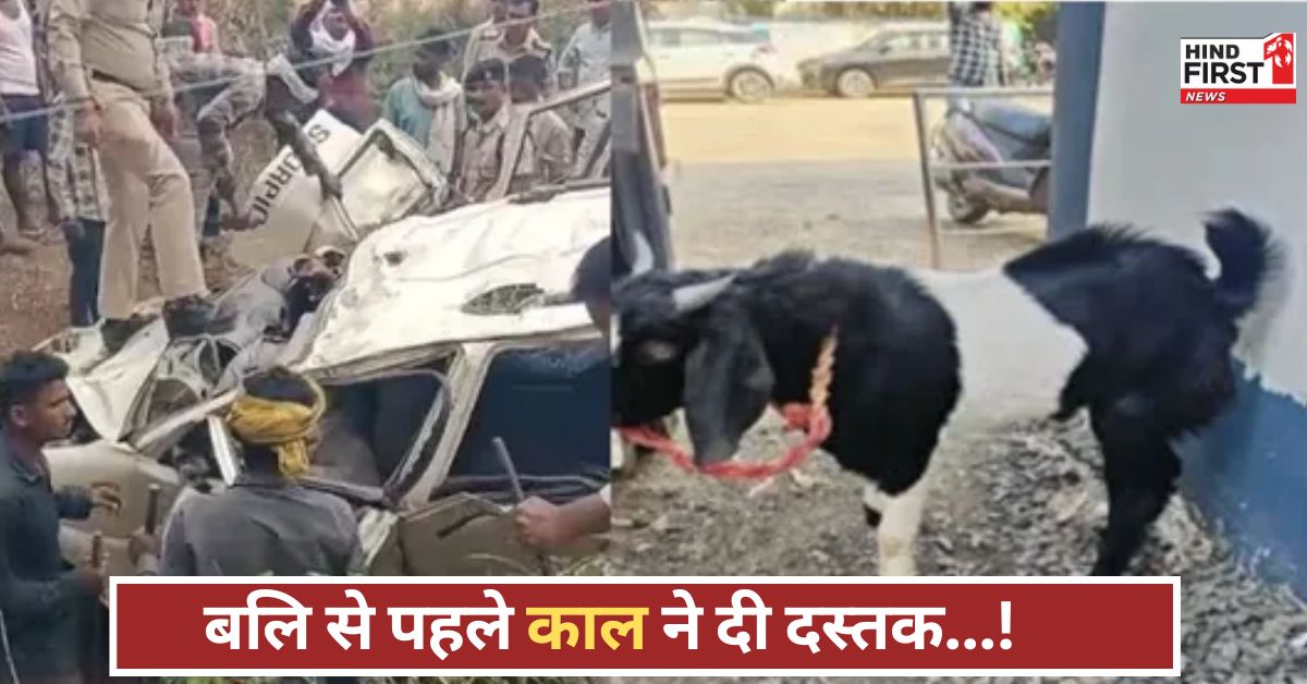 बलि से पहले काल ने मारा! जबलपुर में कार नदी में गिरी, चार की मौत, बकरा सही-सलामत