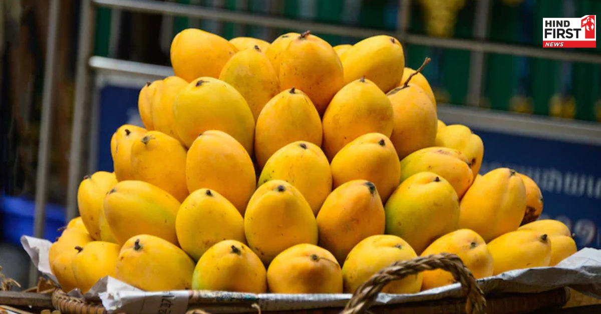 शुरुआती सीजन के आम सेहत के लिए हो सकते हैं खतरनाक, जानें इसकी वजह और समाधान शुरुआती सीजन के आम सेहत के लिए हो सकते हैं खतरनाक, जानें इसकी वजह और समाधान