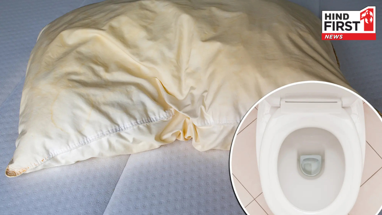 Pillow Cover Side Effects: आपके तकिये का कवर टॉयलेट सीट से भी ज़्यादा गंदा, रिपोर्ट में हुआ खुलासा Pillow Cover Side Effects: आपके तकिये का कवर टॉयलेट सीट से भी ज़्यादा गंदा, रिपोर्ट में हुआ खुलासा