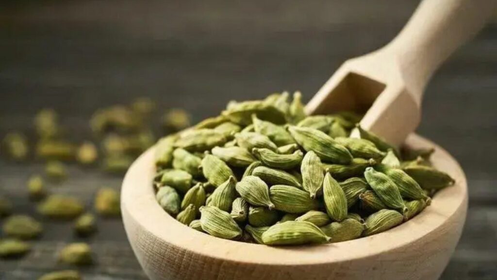 Elaichi ke Fayde: मसालों की रानी इलायची के हैं बहुत फायदे, डिनर के बाद जरूर खाएं     
