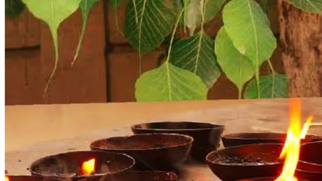 Varuthini Ekadashi 2025 Upay: वरुथिनी एकादशी पर करें ये 5 उपाय, जीवन में बनी रहेगी सुख-समृद्धि