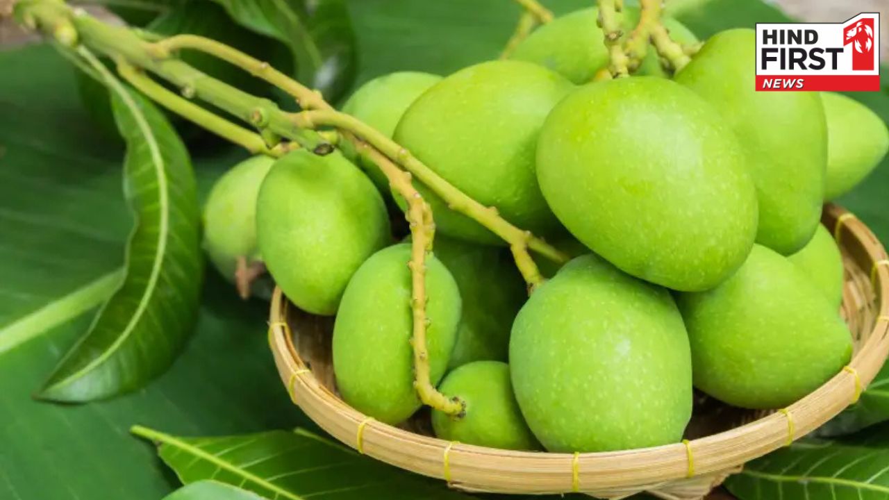 Raw Mango Benefits: गर्मियों में कच्चा आम नहीं है किसी वरदान से कम, जानिए इसके पांच फायदे Raw Mango Benefits: गर्मियों में कच्चा आम नहीं है किसी वरदान से कम, जानिए इसके पांच फायदे