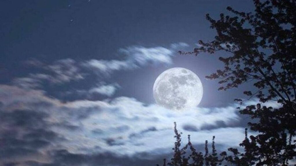  Vaishakh Amavasya 2025: इस दिन है वैशाख अमावस्या, तर्पण से पूर्वजों को मिलता है मोक्ष 