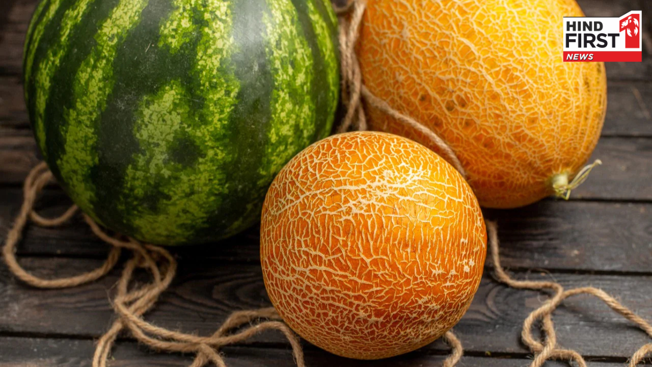 गर्मियों में खरबूज या तरबूज, क्या है ज्यादा फायदेमंद? जानिए विस्तार से
