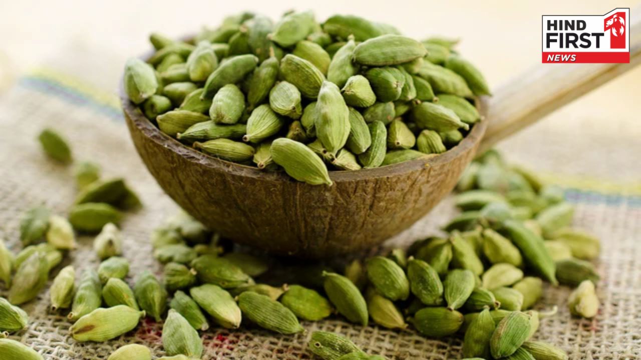 Elaichi ke Fayde: मसालों की रानी इलायची के हैं बहुत फायदे, डिनर के बाद जरूर खाएं