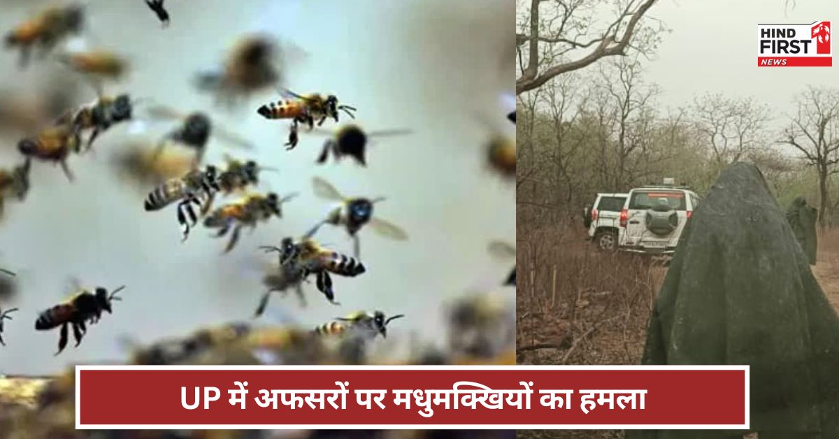 जंगल में बेहोश होकर गिरे...गनर लिपट गया ! IAS अधिकारी की बाल-बाल बची जान ?