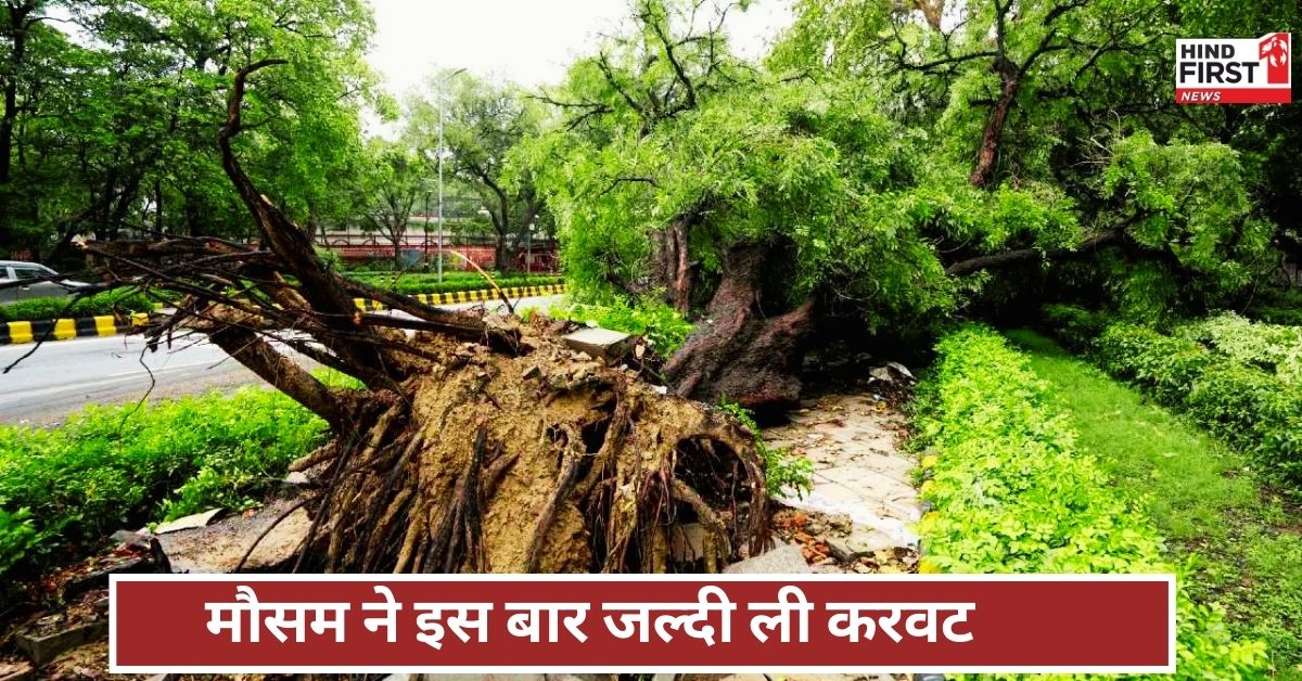 Weather Report: मानसून इतनी जल्दी कैसे आ गया, इससे कितना फायदा, कितना नुकसान?