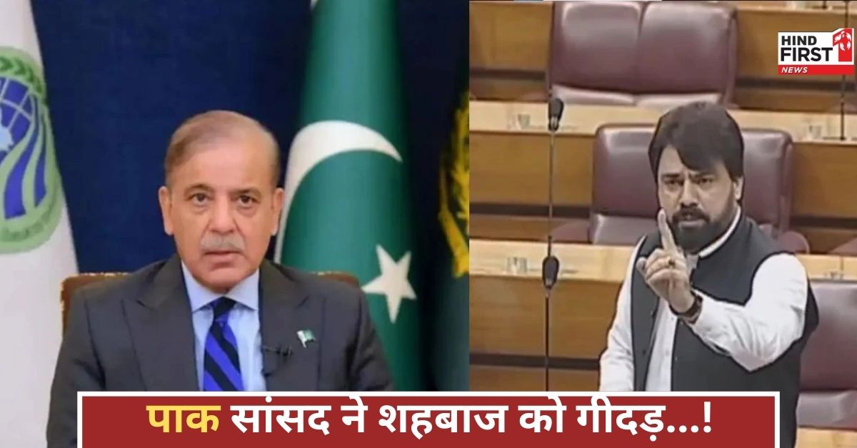 पाक सांसद ने संसद में खोली सरकार की पोल, कहा... शहबाज मोदी से डरते हैं, नाम तक नहीं लेते