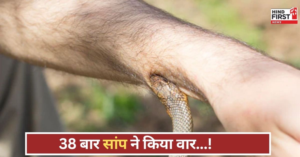 38 बार सांप ने काटा, मिला 1.52 करोड़, जानिए क्या है इस चौंकाने वाले मामले की पूरी सच्चाई 38 बार सांप ने काटा, मिला 1.52 करोड़, जानिए क्या है इस चौंकाने वाले मामले की पूरी सच्चाई