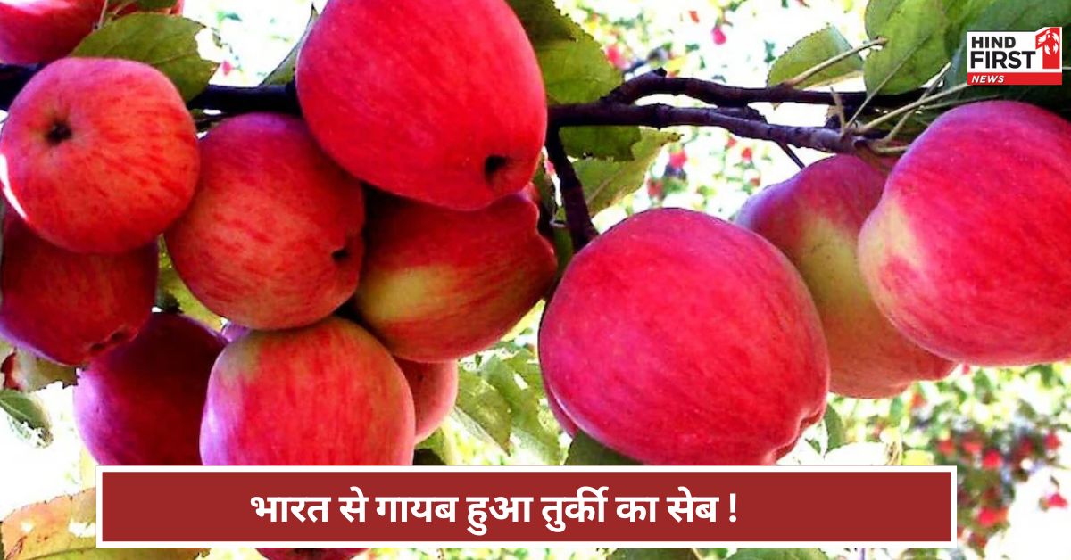भारत में क्यों हो रहा इस सेब का बायकॉट ? तुर्की को लगेगा 821 करोड़ का झटका !