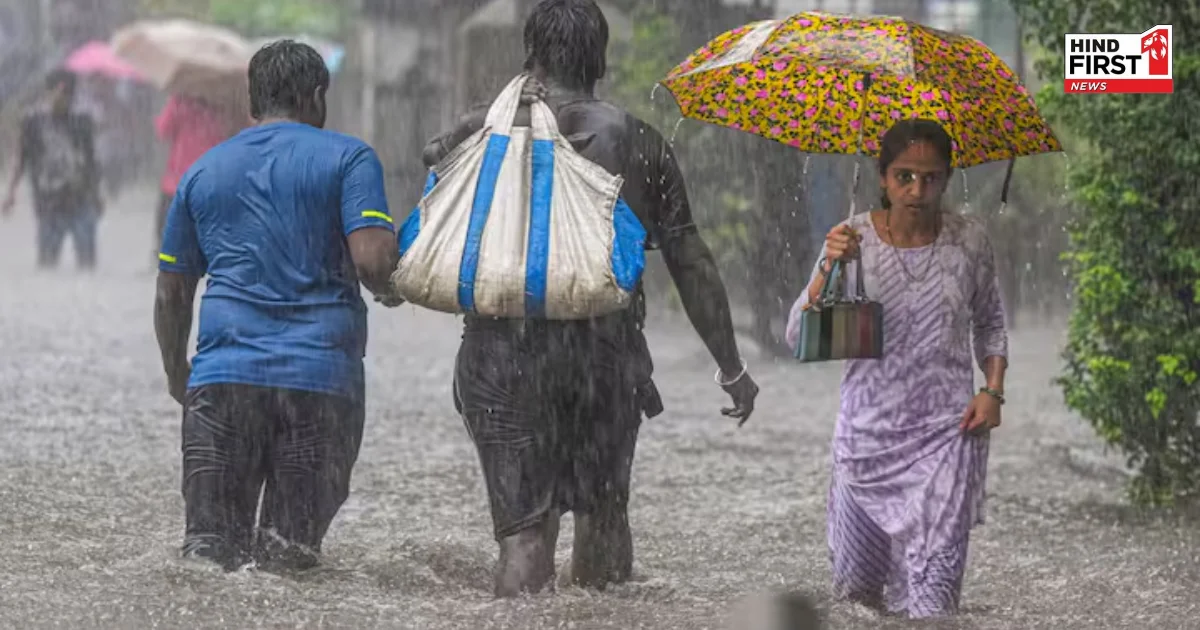 महाराष्ट्र में मूसलधार बारिश का कहर: दीवार और पेड़ गिरने से 14 की मौत, ऑरेंज अलर्ट जारी