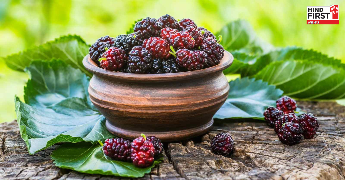 गुणों का खजाना है शहतूत, गर्मियों में खाने से मिलते हैं ढेर सारे फायदे गुणों का खजाना है शहतूत, गर्मियों में खाने से मिलते हैं ढेर सारे फायदे