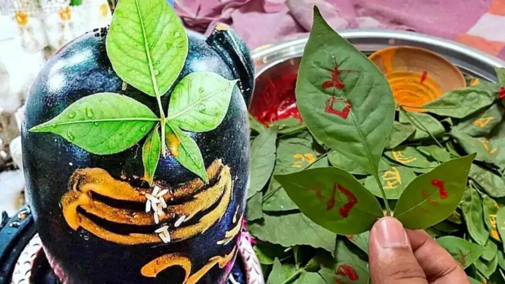   Pradosh Vrat Pujan: प्रदोष व्रत पूजा में भूलकर भी शिव जी को ना चढ़ाएं ये चीजें