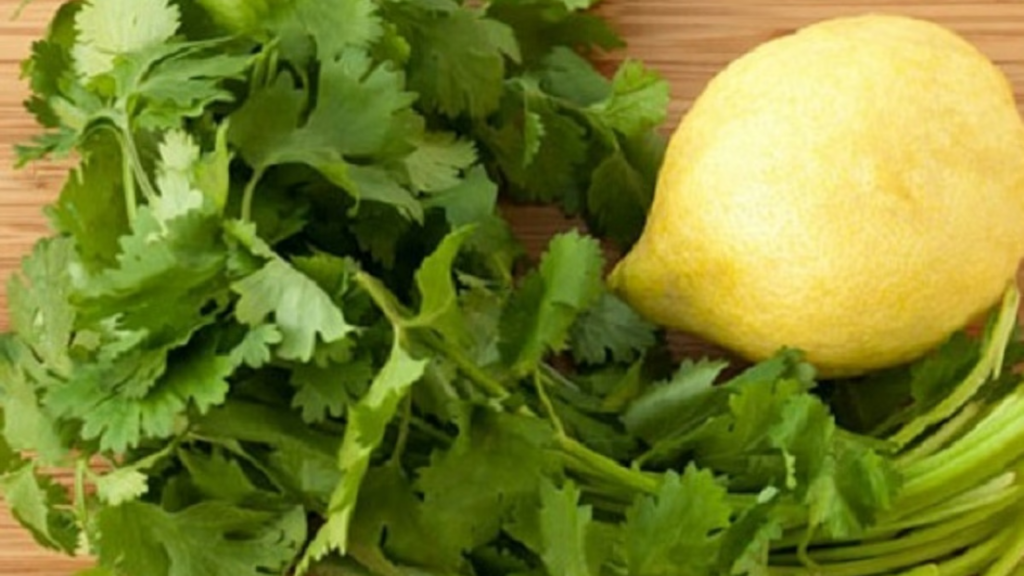 Skin Care Tips: गर्मी में स्किन को ग्लोइंग बनाने के लिए करें इस पत्ते का उपयोग, आएगा निखार     