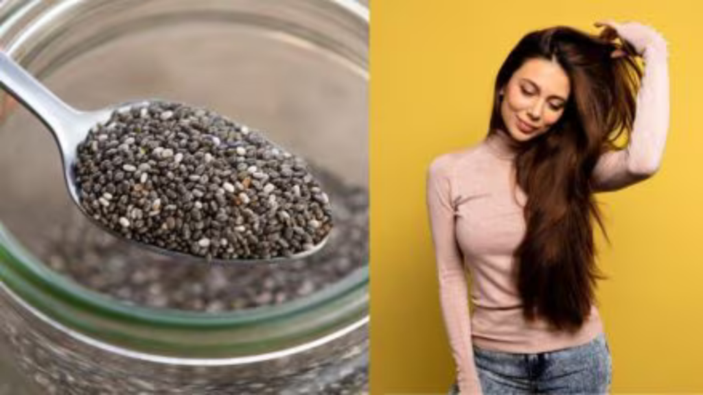 Chia Seeds For Hair: चिया सीडस के सेवन से होता है हेयर ग्रोथ, जानें इस्तेमाल का तरीका    