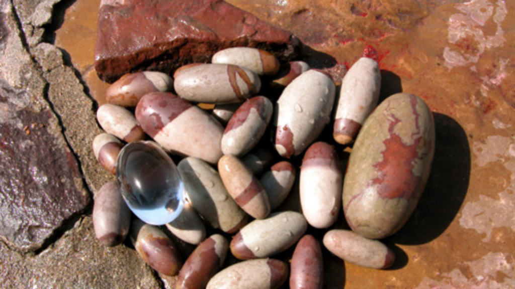 Narmadeshwar Shivling: नर्मदा नदी के पत्थरों को माना जाता है शिवलिंग, जानिये क्यों  