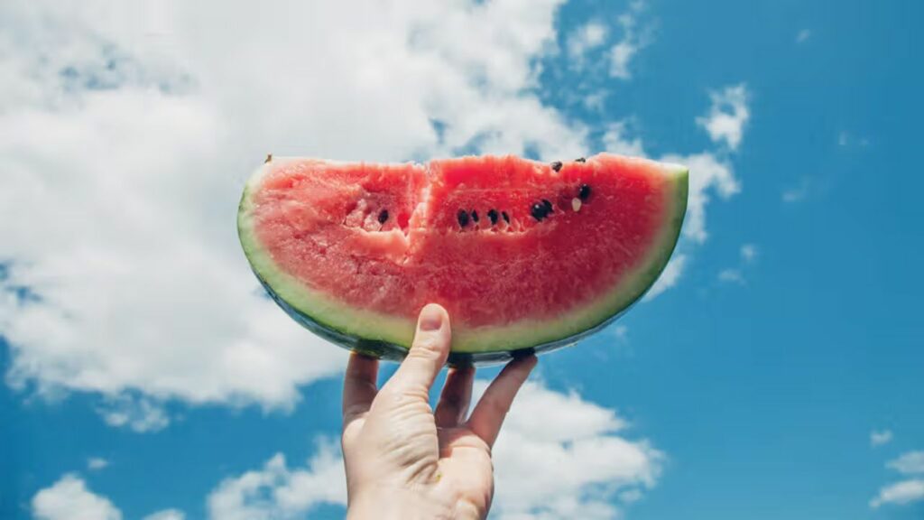 World Hypertension Day 2025: गर्मियों में ये पांच फ्रूट्स आपका बीपी कम करने में करेंगे मदद  