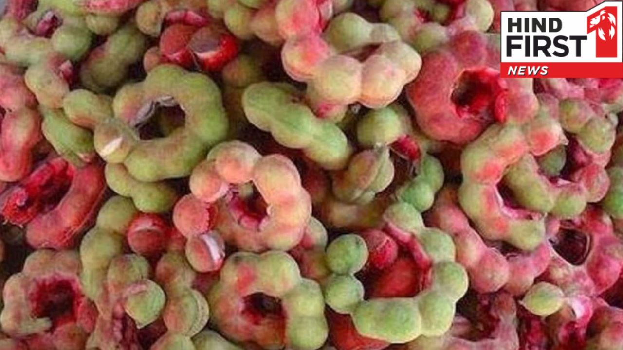 पेट से जुड़ी समस्याओं का रामबाण इलाज़ है जंगल जलेबी, फायदों से भरपूर है ये फल