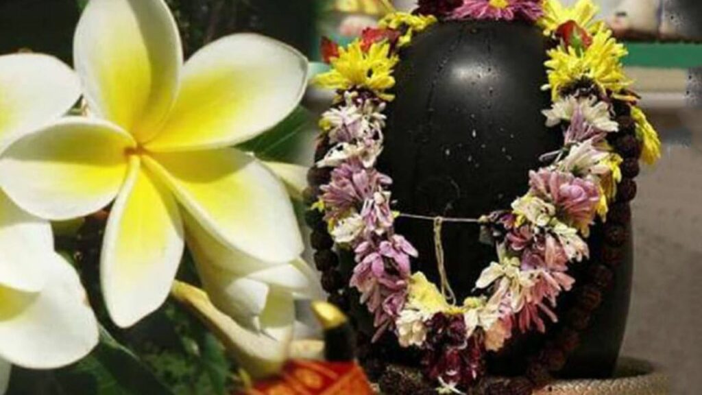   Pradosh Vrat Pujan: प्रदोष व्रत पूजा में भूलकर भी शिव जी को ना चढ़ाएं ये चीजें