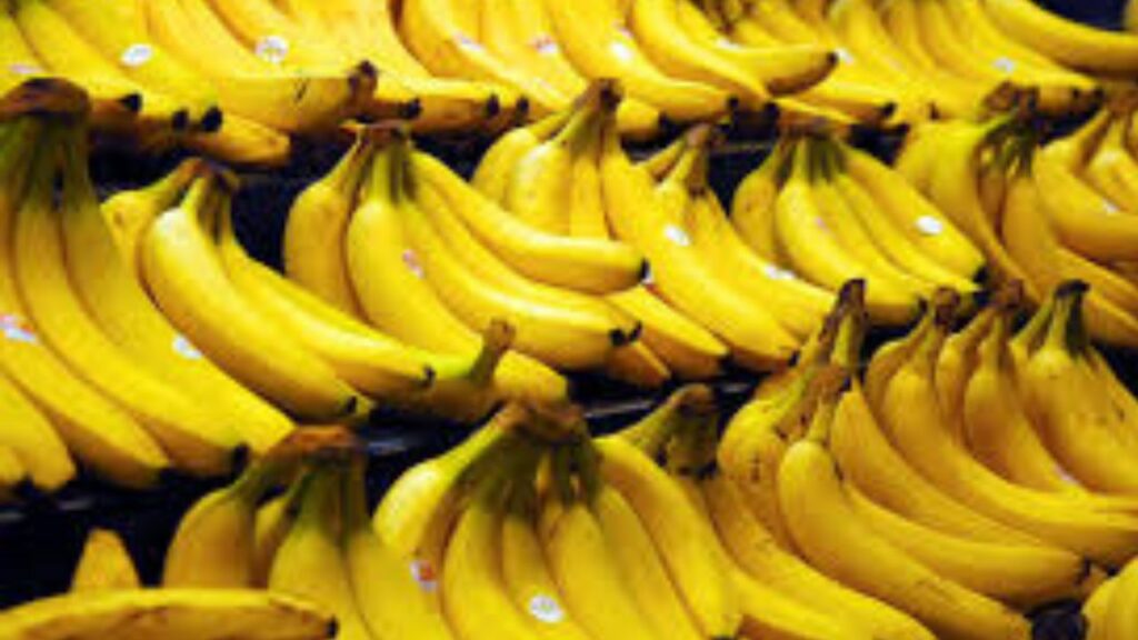 World Hypertension Day 2025: गर्मियों में ये पांच फ्रूट्स आपका बीपी कम करने में करेंगे मदद  