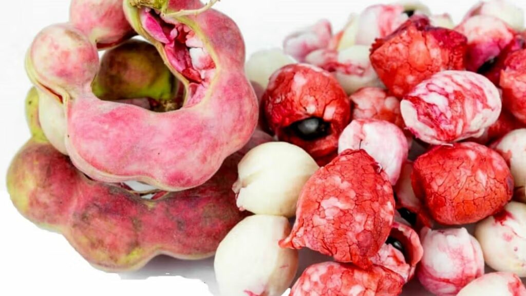    Jungle Jalebi Benefits: पेट से जुड़ी समस्याओं का रामबाण इलाज़ है जंगल जलेबी, फायदों से भरपूर है ये फल