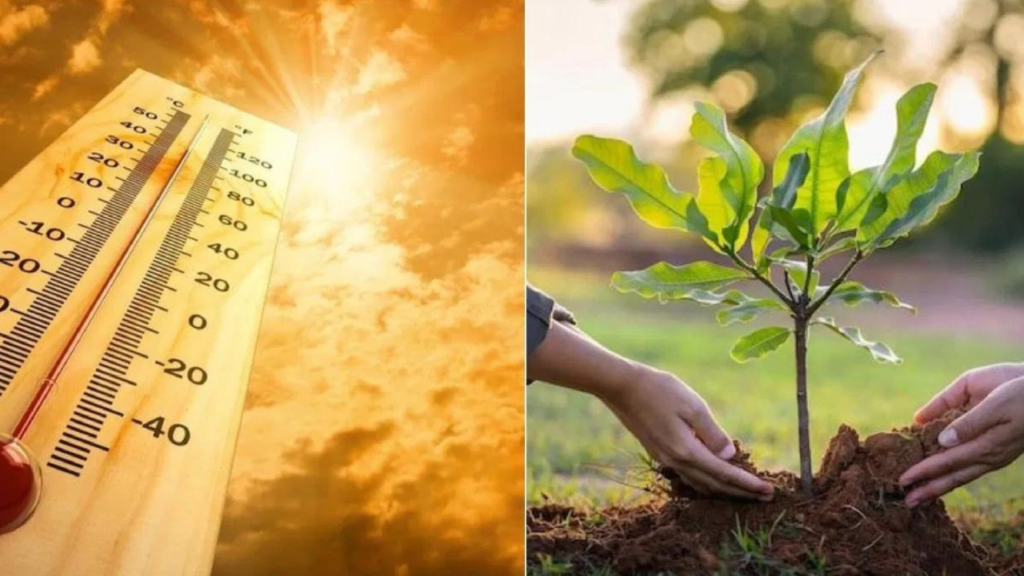 Nautapa 2025: दो दिन बाद शुरू होगा नौतपा, जानिए इसका आध्यात्मिक और वैज्ञानिक महत्व