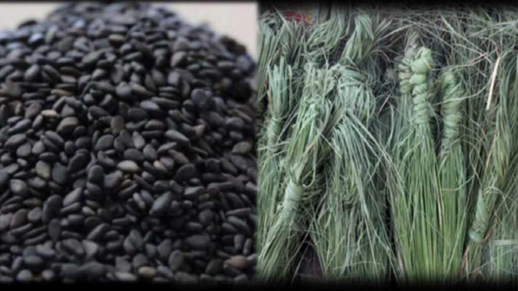 Pitru Paksha 2025: कब से शुरू होंगे पितृ पक्ष? नोट करें श्राद्ध की सभी प्रमुख तिथियां 