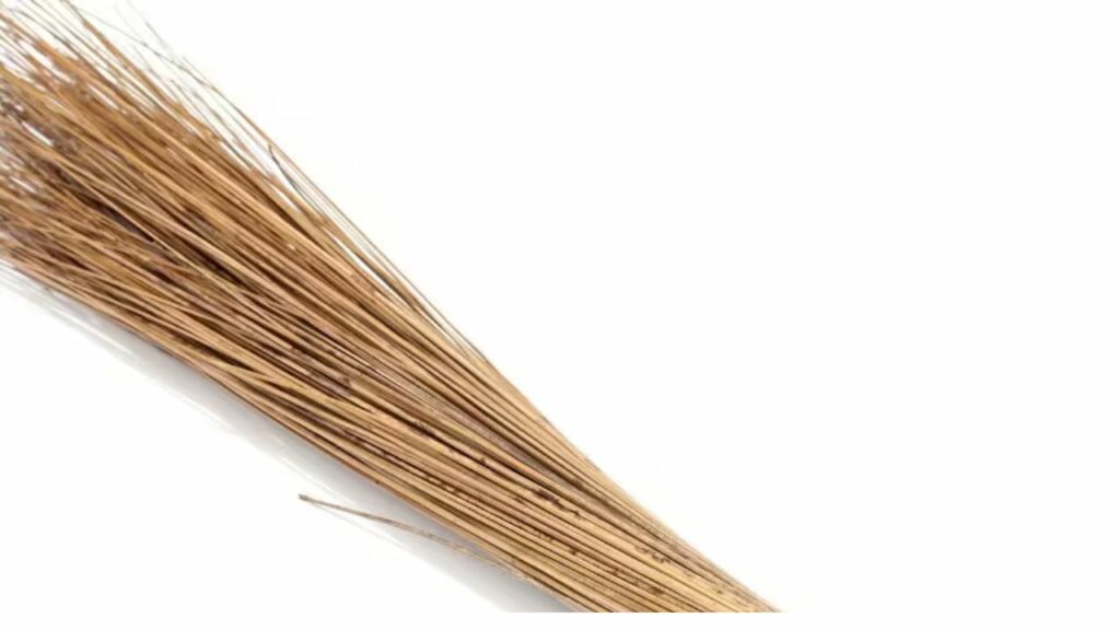   Friday Ke Upaay: घर में भूलकर भी ना रखें ये 5 चीजें वरना नाराज़ हो जाएंगी मां लक्ष्मी 