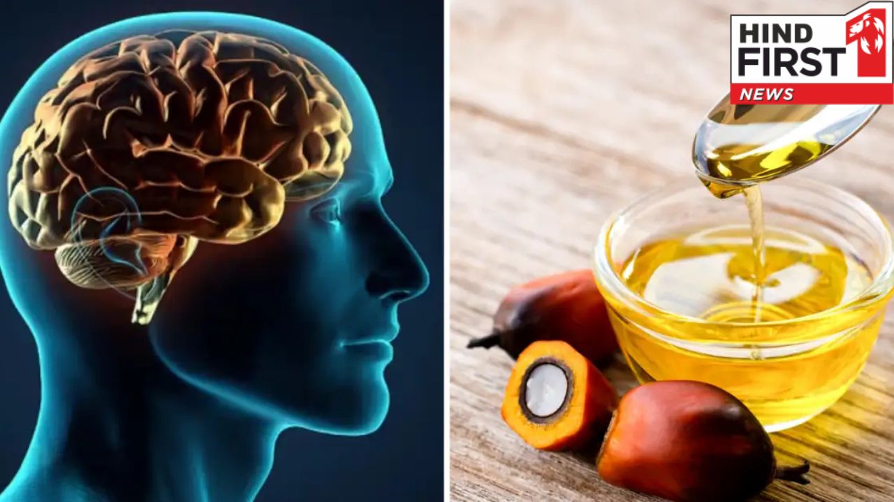 दिमाग तेज़ करना है तो बालों में लगाएं ताड़ का तेल, जानिए इस्तेमाल करने की विधि