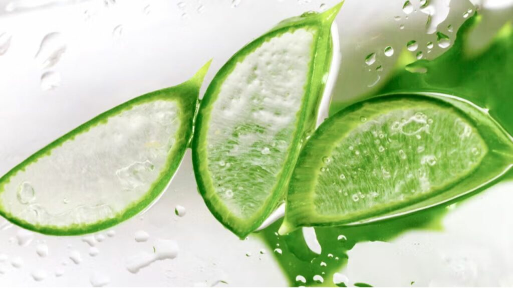 Sun Tan Home Remedies: धूप से हो गयी है टैनिंग तो अपनाएं ये पांच घरेलु उपाय, चमकेगी त्वचा     