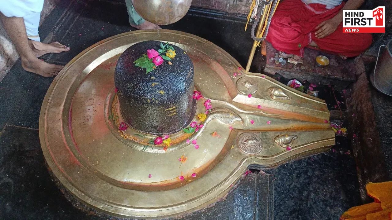 सोमवार को करें शमी के पत्ते का यह उपाय, प्रसन्न हो शिव देंगे मनचाहा वरदान सोमवार को करें शमी के पत्ते का यह उपाय, प्रसन्न हो शिव देंगे मनचाहा वरदान