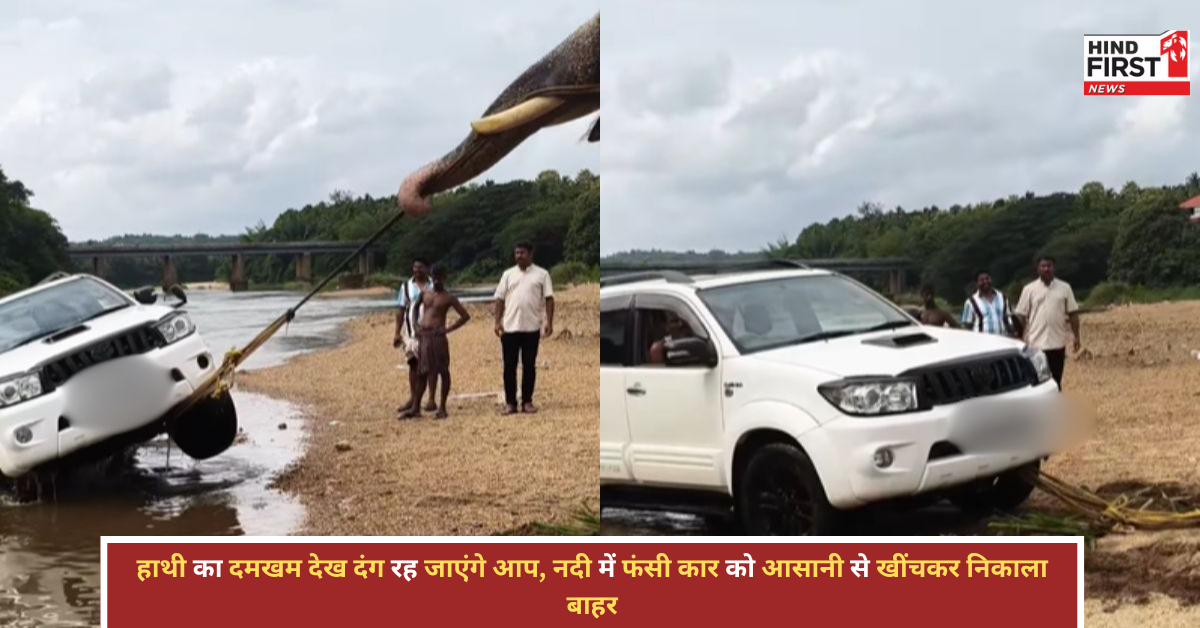 हाथी ने दिखाया ऐसा दमखम, नदी में फंसी कार को चुटकियों में खींच लिया! वायरल वीडियो