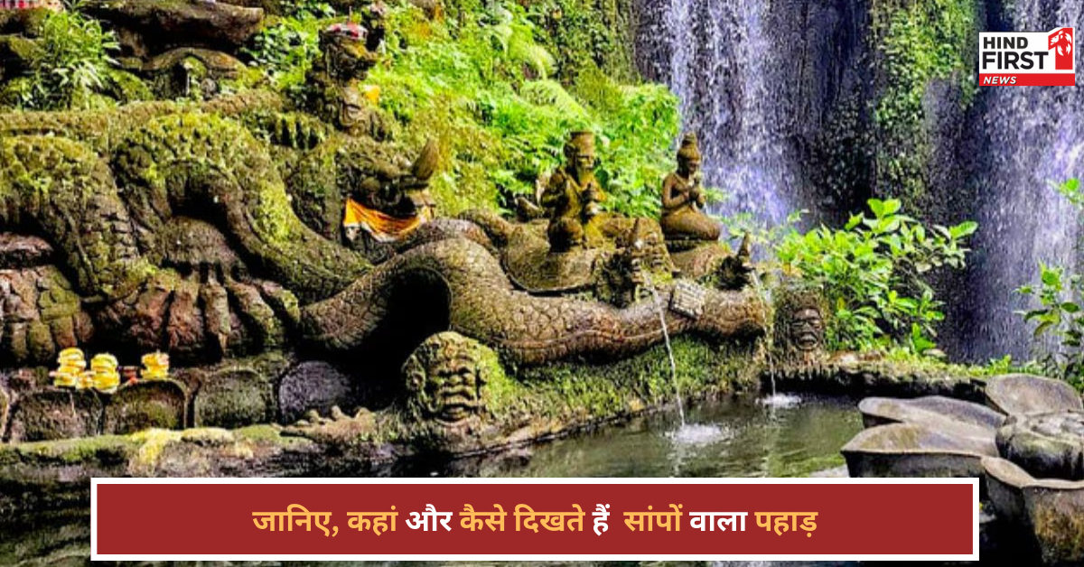 सांपों जैसे दिखते हैं इस झरने के पत्थर, इंडोनेशिया का वायरल वीडियो देख रोंगटे खड़े हो जाएंगे!