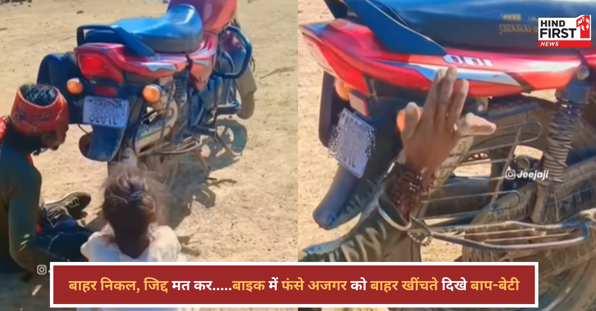 पिता-बेटी की जोड़ी ने दिखाई गजब की हिम्मत, बाइक के टायर में फंसे विशालकाय सांप को खींचा! पिता-बेटी की जोड़ी ने दिखाई गजब की हिम्मत, बाइक के टायर में फंसे विशालकाय सांप को खींचा!