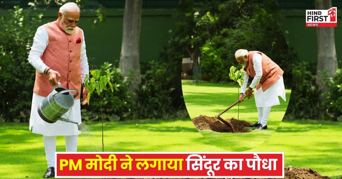 World Environment Day: PM नरेंद्र मोदी ने प्रधानमंत्री आवास में लगाया सिंदूर का पौधा, नारीशक्ति के शौर्य और प्रेरणा का सशक्त प्रतीक