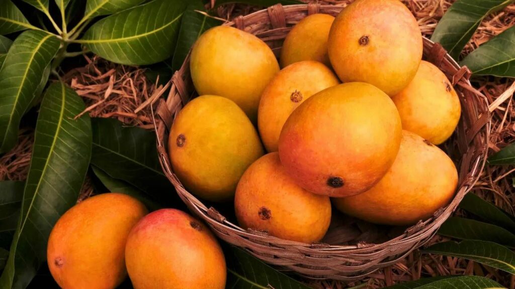 Mangoes Benefits: गर्मियों में आम पाचन के लिए है रामबाण, इन पांच तरीकों से बढ़ाता है डाइजेशन