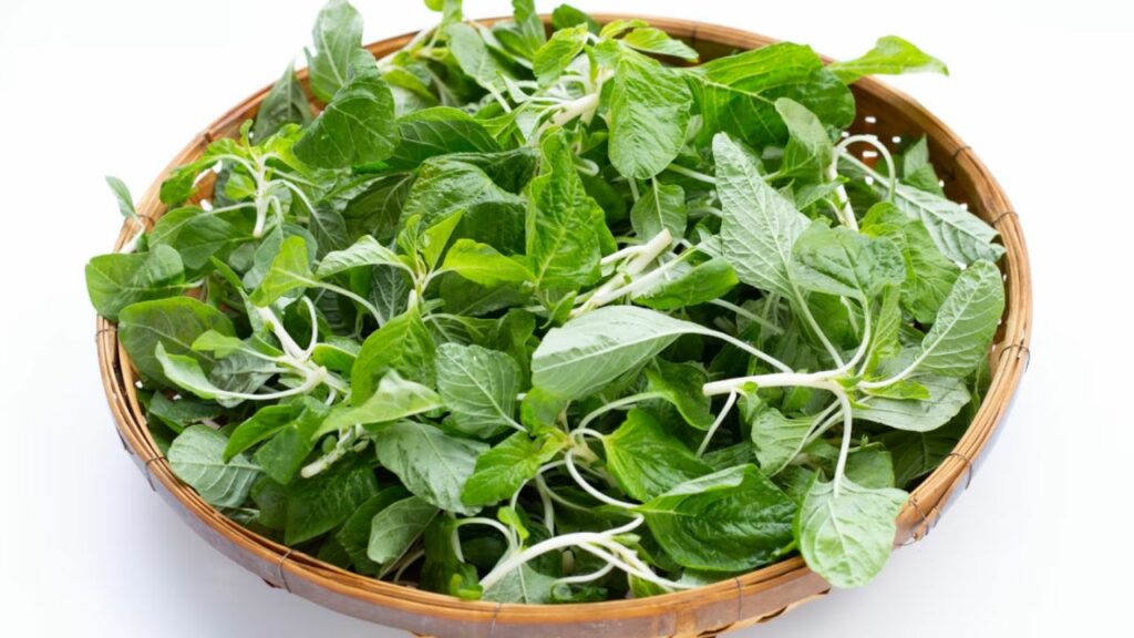  Calcium Rich Food: इन 5 फ़ूड आइटम्स में है दूध से भी ज़्यादा कैल्शियम, आप भी जानें 