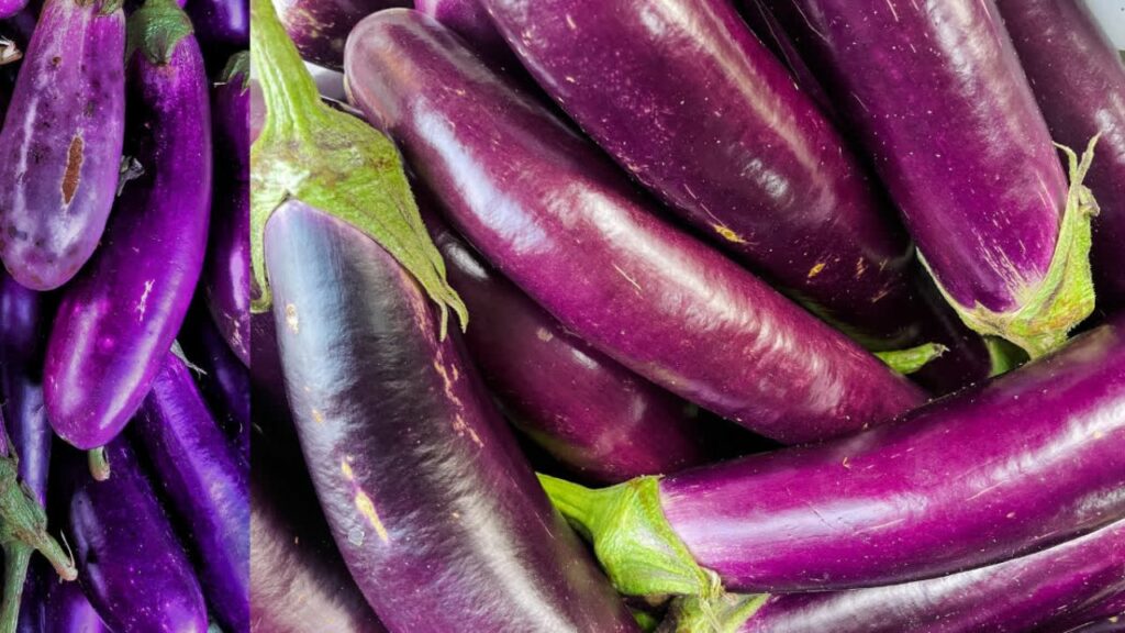     Ashadha Month Food: आषाढ़ माह में  इन 5 चीजों का सेवन है निषेध, जानिए क्यों 