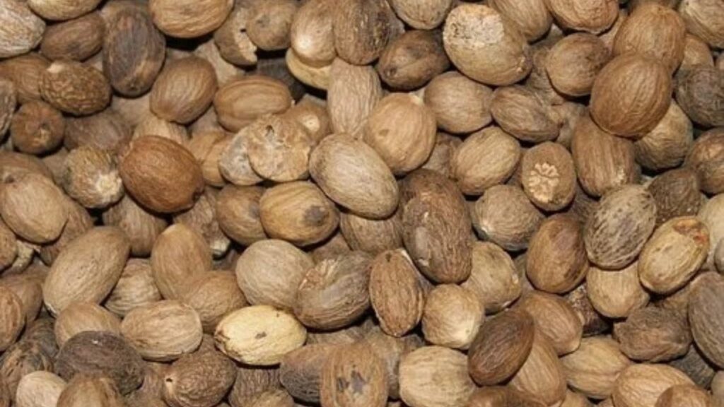 Nutmeg Benefits: किडनी की सफाई के लिए बेहतरीन है जायफल, डाइट में जरूर करें शामिल