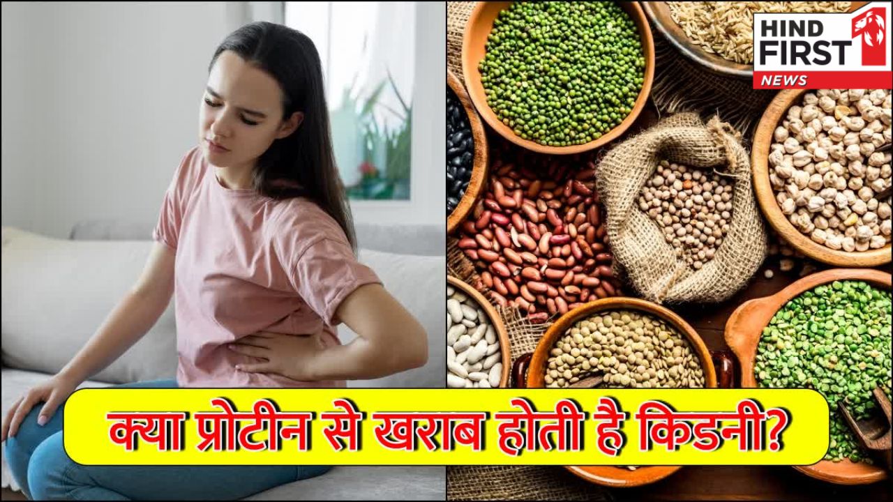 Protein Side Effects: सावधान! ज्यादा प्रोटीन का सेवन किडनी कर सकता है ख़राब