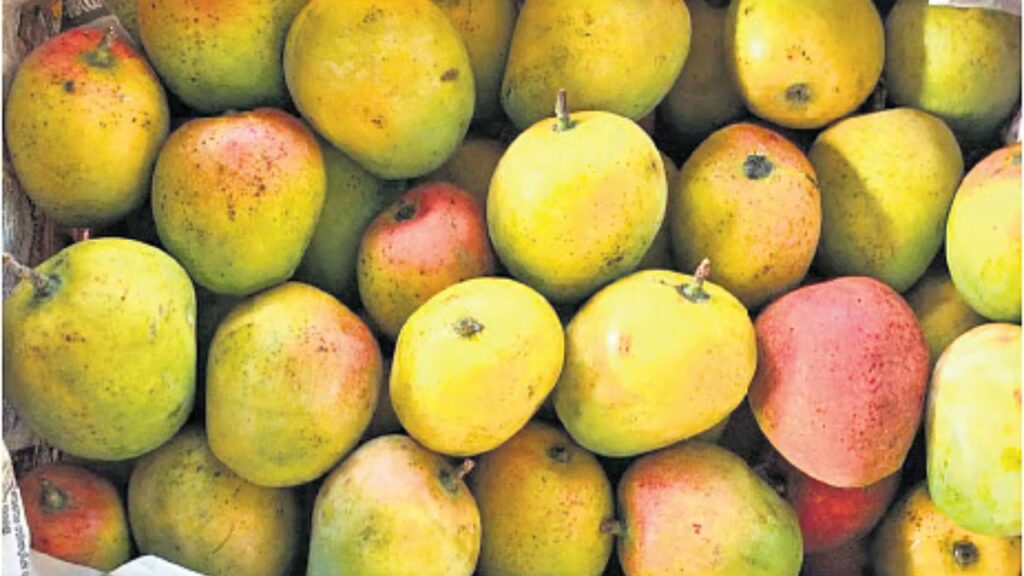 Mangoes Benefits: गर्मियों में आम पाचन के लिए है रामबाण, इन पांच तरीकों से बढ़ाता है डाइजेशन