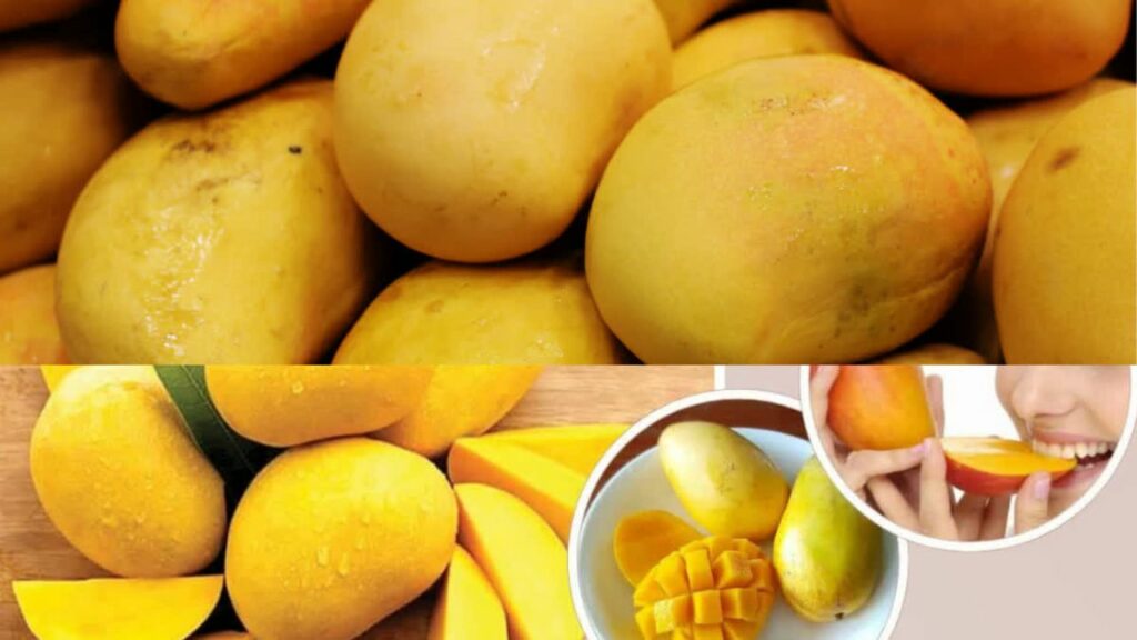 Mango Benefits: डिप्रेशन दूर रखना है खाइए आम, फायदों से भरपूर है ये फल