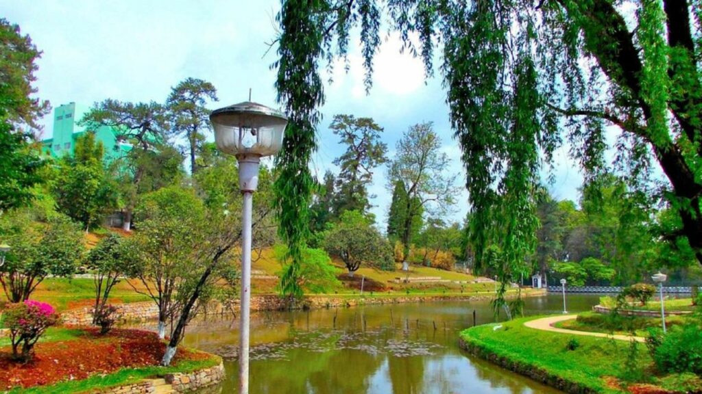 Shillong Trip: शिलांग जाने का है प्लान, तो वहां की इन 5 जगहों को जरूर करें लिस्ट में शामिल