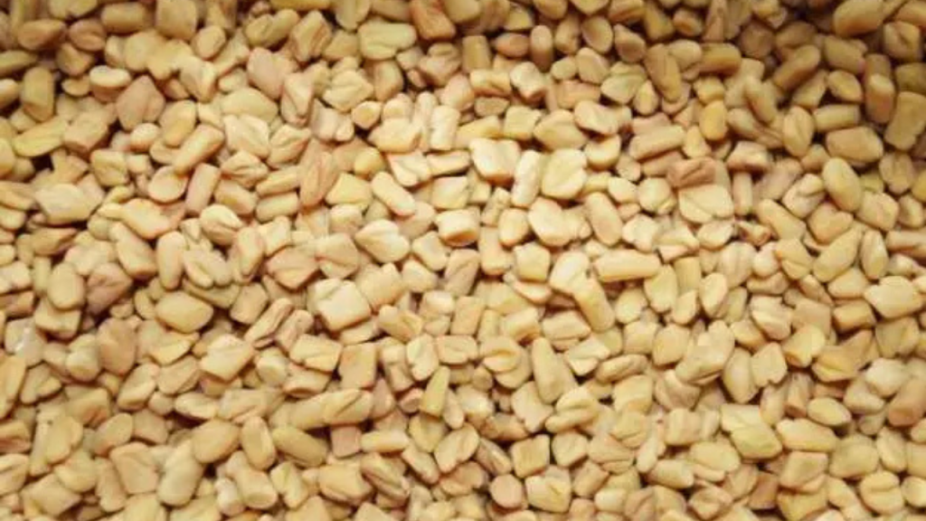 भिंडी से कद्दू तक, ये 5 फ़ूड आइटम्स प्राकृतिक रूप से कम करते हैं ब्लड शुगर