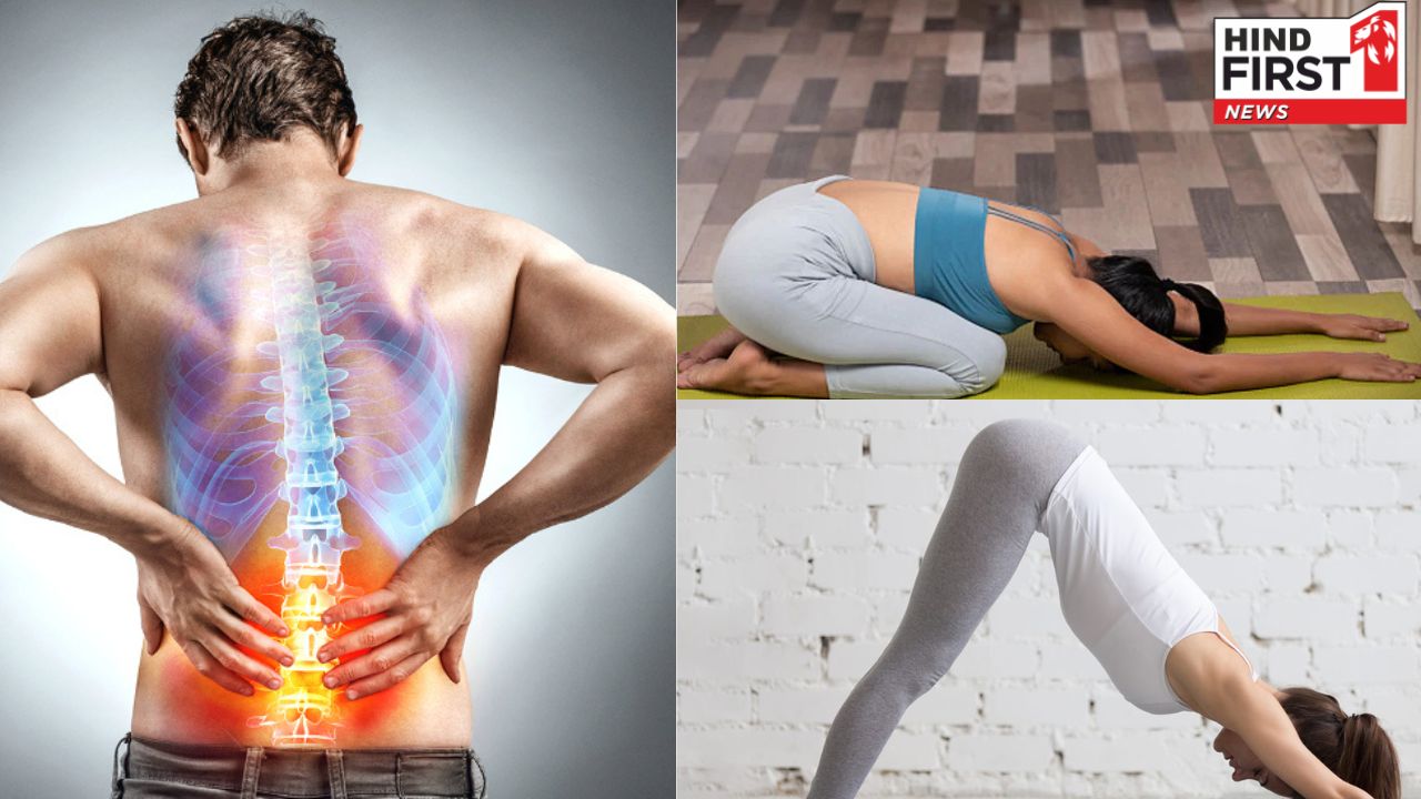कमर दर्द में राहत दिला सकते हैं ये 5 योगासन, जानिए कैसे करें
