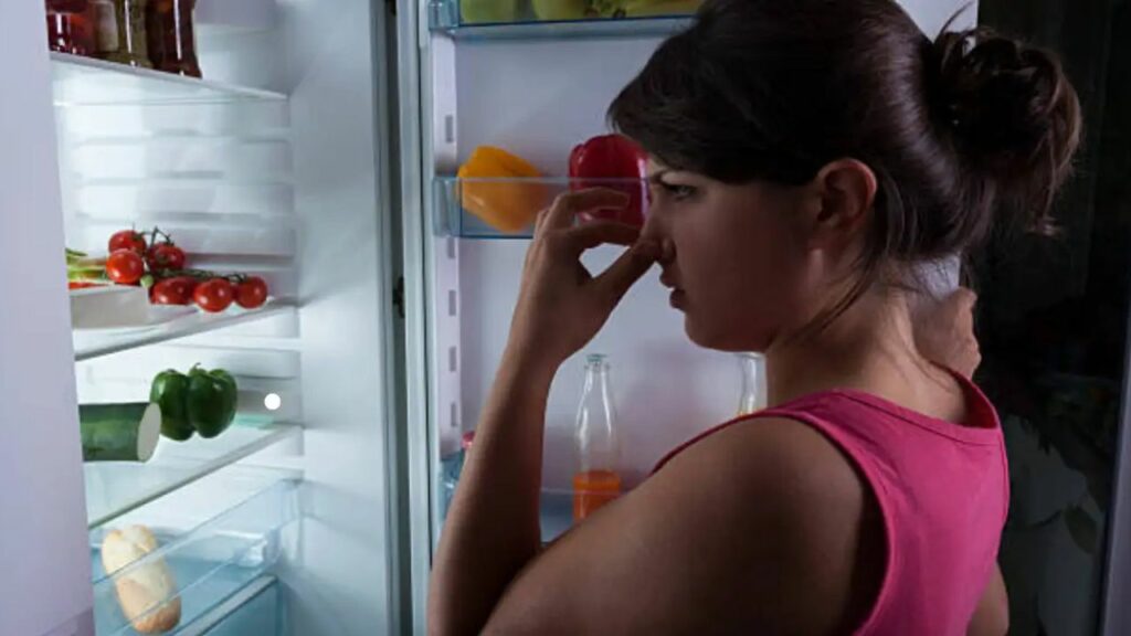 Health Tips: फ्रिज में रखी सब्जियां भी क्यों हो जाती हैं ख़राब? जानिए कारण और स्टोर करने का सही तरीका