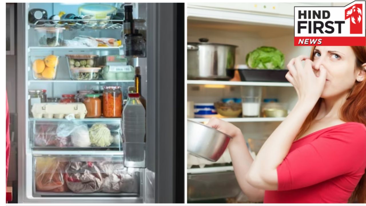 फ्रिज में रखी सब्जियां भी क्यों हो जाती हैं ख़राब? जानिए कारण और स्टोर करने का सही तरीका