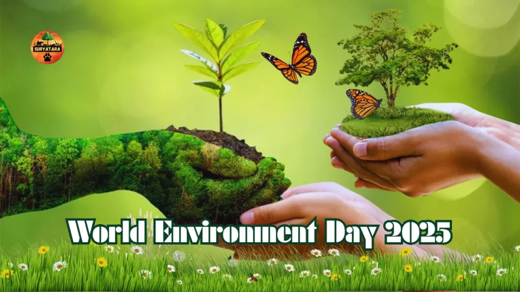 World Environment Day 2025: आज है विश्व पर्यावरण दिवस, जानिए इस वर्ष की थीम और महत्व   